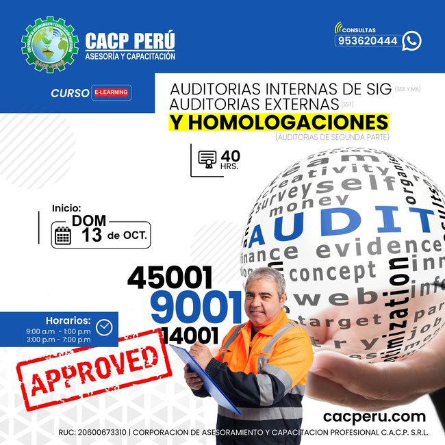 Auditorias Internas De Sig(Sst Y Ma) , Auditorias Externas Sst Y Homologaciones (Auditorias De Segunda Parte) 2024 - 1.2 E-Learning