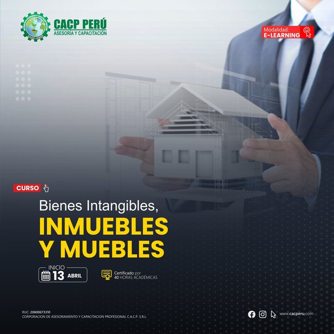 Bienes Intangibles, Inmuebles Y Muebles 2024 - 1 E-Learning