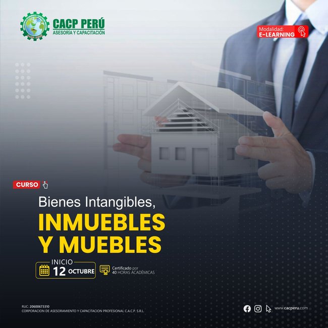 Bienes Intangibles, Inmuebles Y Muebles. 2025-2 E
