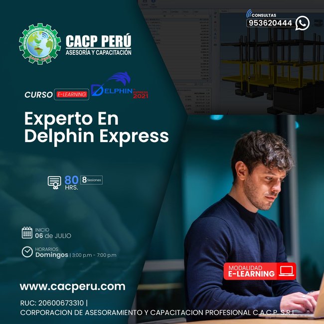 Experto En Delphin Express 2022 2024 - 2 E-Learning