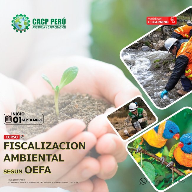 Fiscalización Ambiental Según Oefa 2024 - 2 E-Learning