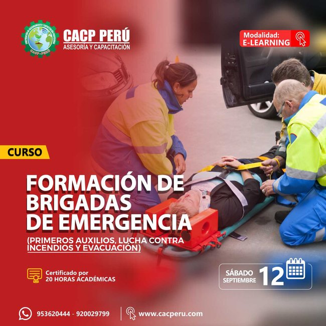 Formación De Brigadas De Emergencia (Primeros Auxilios, Lucha Contra Incendios Y Evacuación). 2020 - 1- Virtual - 2