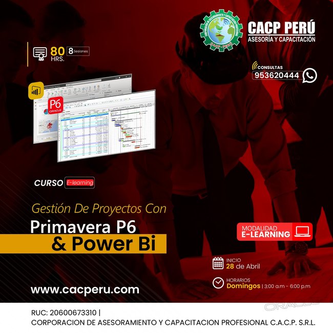 Gestión De Proyectos Con Primavera P6 Y Power Bi 2024 - 1 E-Learning