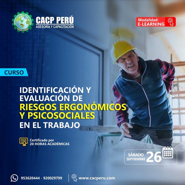 Identificación Y Evaluación De Riesgos Ergonomicos Y Psicosociales En El Trabajo. 2020 - 1- Virtual - 1