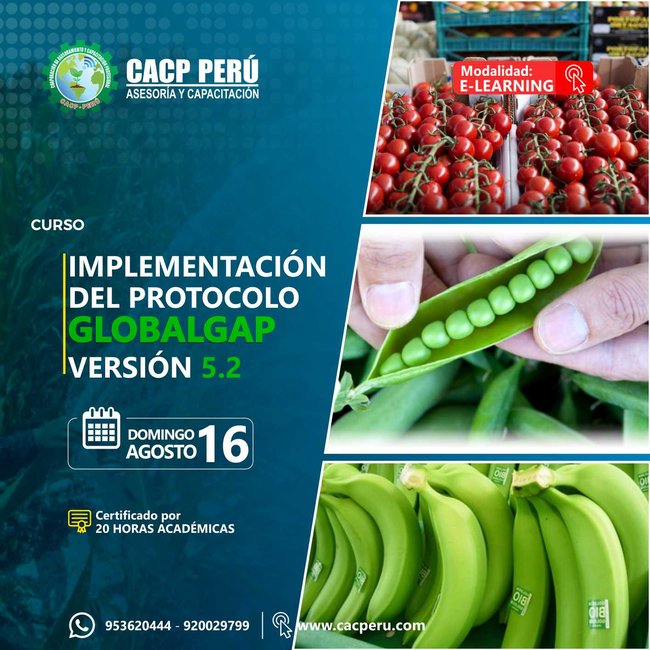 Implementación Del Protocolo Globalgap Versión 5.2. 2020 - 1 - Virtual - 1