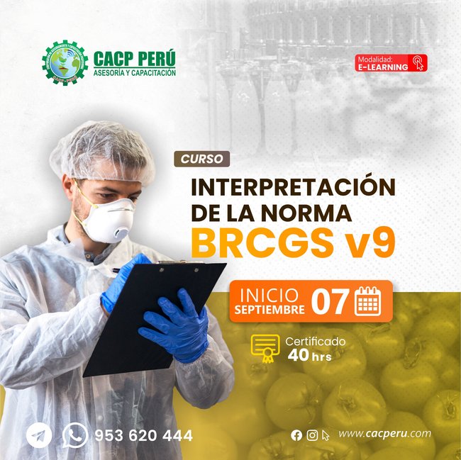 Interpretación De La Norma Brcgs V9. 2025-2 E