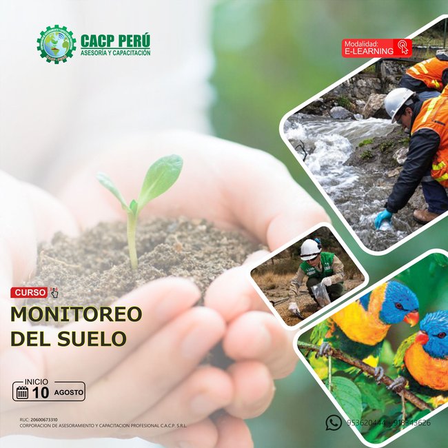 Monitoreo Del Suelo 2024 - 1 E-Learning