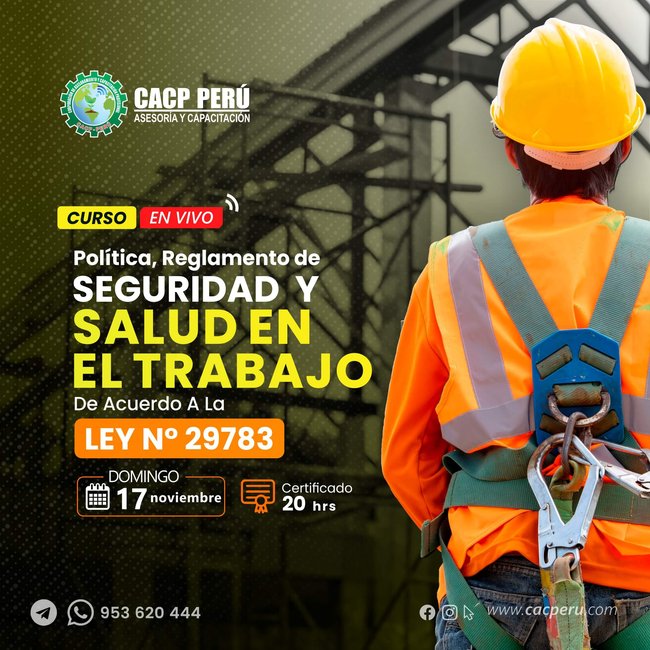 Política, Reglamento De Seguridad Y Salud En El Trabajo De Acuerdo A La Ley N° 29783. 2024 - 2