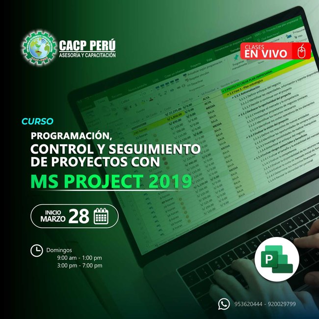 Programación, Control Y Seguimiento De Proyectos Con Ms Project 2019. 2021 - 1