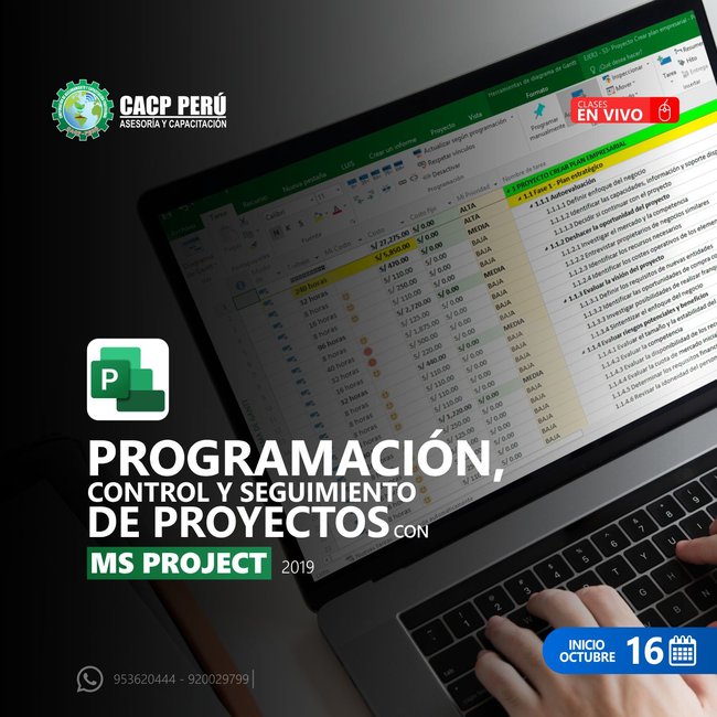 Programación, Control Y Seguimiento De Proyectos Con Ms Project 2019. 2021 - 2