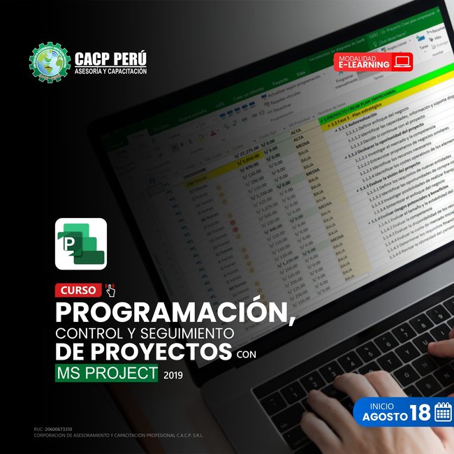Programación, Control Y Seguimiento De Proyectos Con Ms Project 2024 - 2 E-Learning