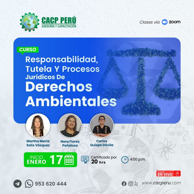 Responsabilidad, tutela y procesos jurídicos de derechos ambientales. 2025-2 O