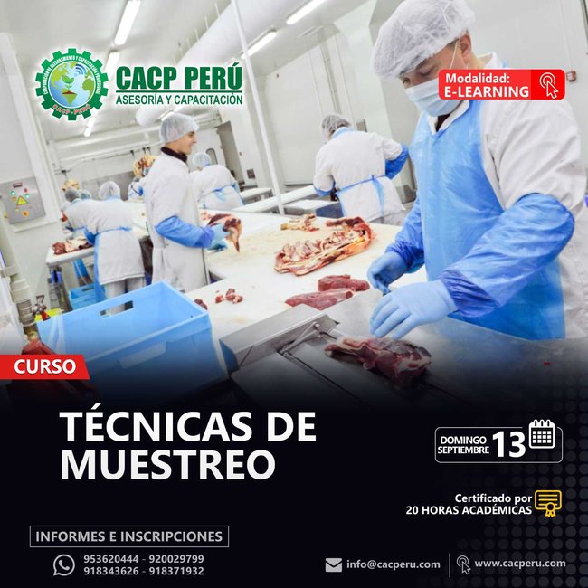 Técnicas De Muestreo. 2020 - 1- Virtual - 1