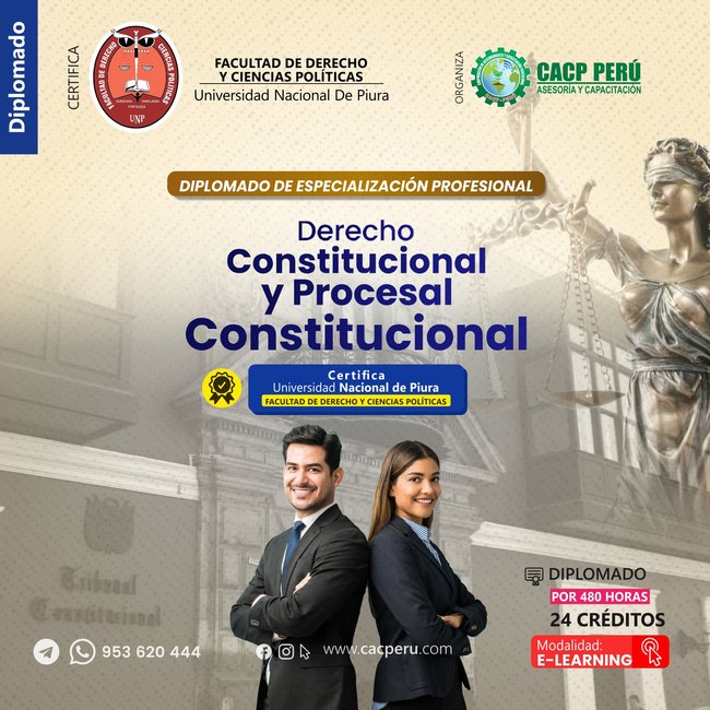 Derecho Constitucional y Procesal Constitucional. 2025-2 E