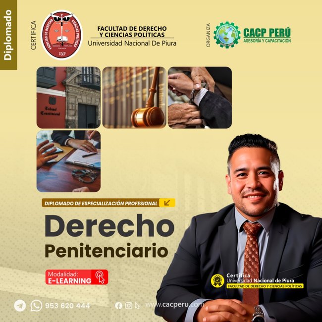 Derecho Penitenciario. 2025-2 E