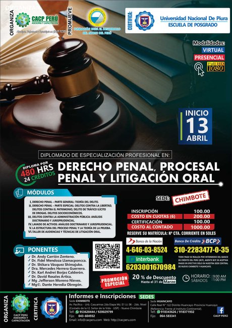 Derecho Penal, Procesal Penal Y Litigación Oral.