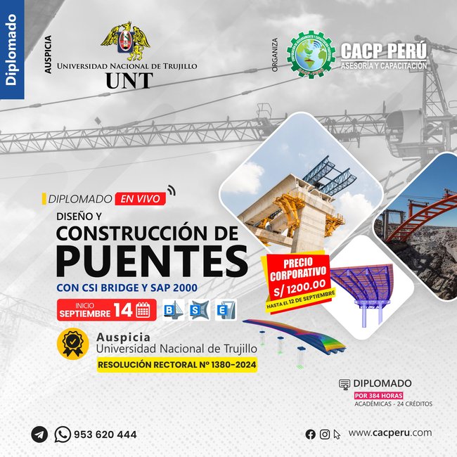 Diseño Y Construccion De Puentes Con Csi Bridge Y Sap 2000 2024 - 2
