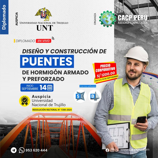 Diseño Y Construccion De Puentes De Hormigon Armado Y Preforzado 2024 - 2