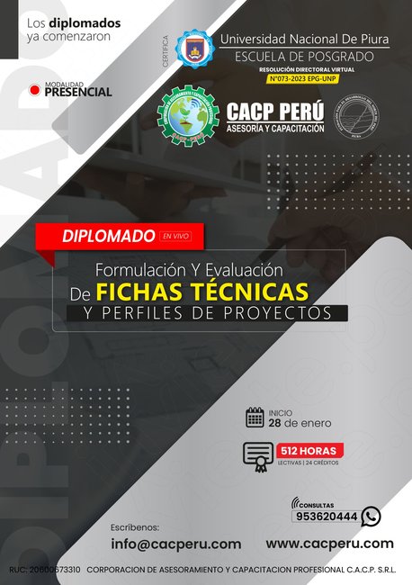 Formulación Y Evaluación De Fichas Técnicas Y Perfiles De Proyectos 2024 - 1