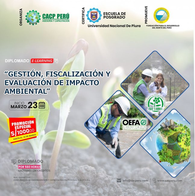 Gestión, Fiscalización Y Evaluación De Impacto Ambiental 2024 - 1 E-Learning