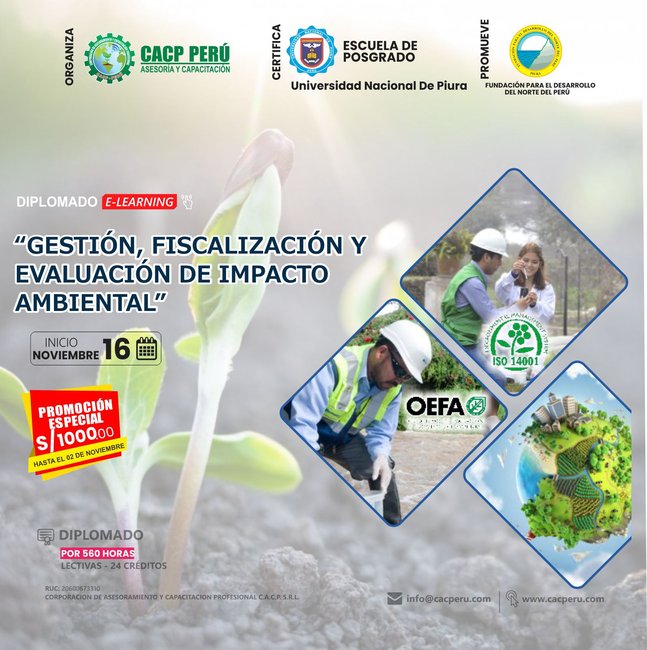 Gestión, Fiscalización Y Evaluación De Impacto Ambiental. 2024 - 2 E-Learning