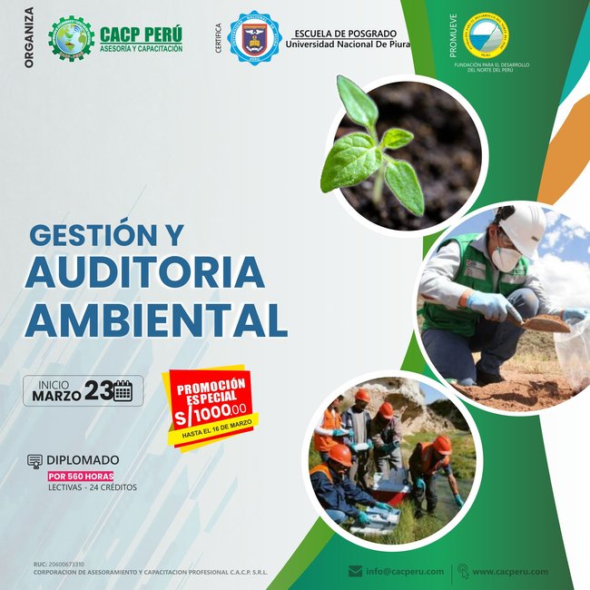 Gestión Y Auditoria Ambiental 2024 - 1 E-Learning