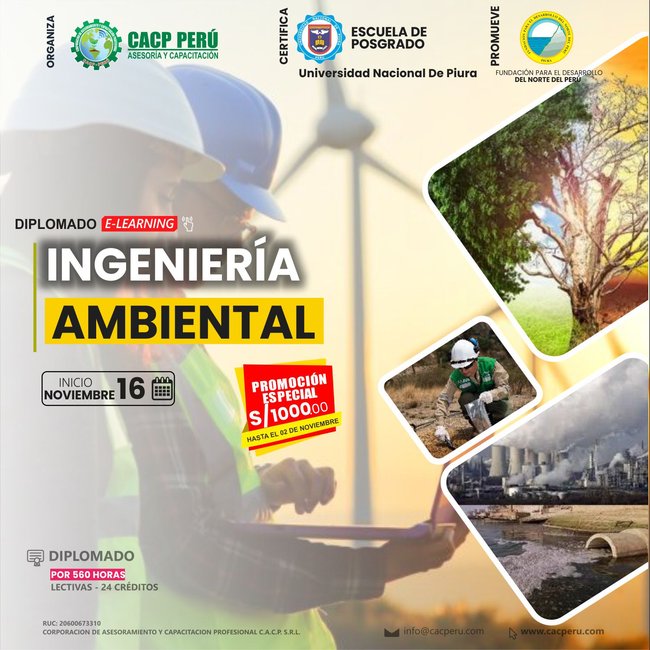 Ingeniería Ambiental. 2024 - 2 E-Learning