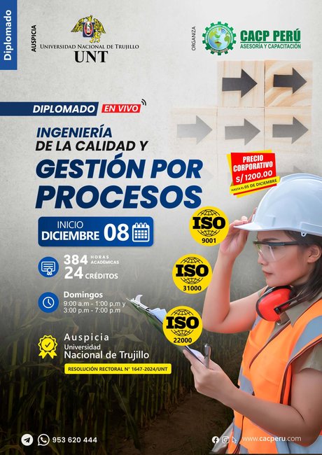 Ingeniería De La Calidad Y Gestión Por Procesos. 2024 - 2