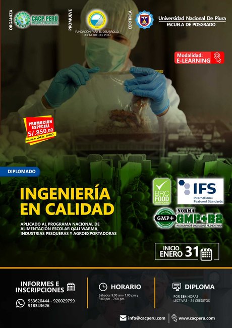 Ingeniería En Calidad. 2021 - 1