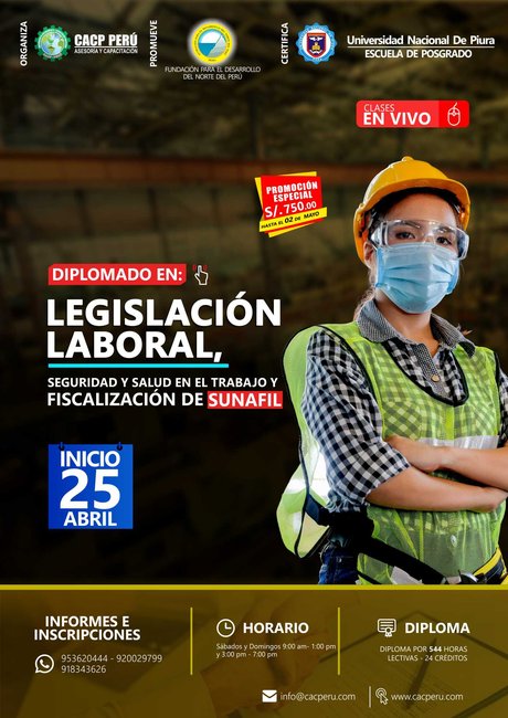 Legislación Laboral, Seguridad Y Salud En El Trabajo Y Fiscalización De Sunafil. 2021 - 1