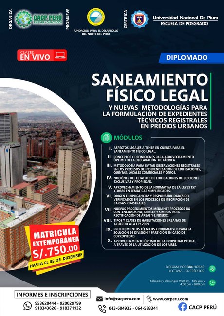 Saneamiento Físico Legal Y Nuevas Metodologías Para La Formulación De Expedientes Técnicos Registrales En Predios Urbanos. 2020 - 2