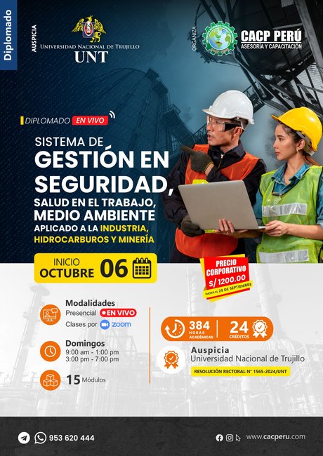 Sistema De Gestión En Seguridad, Salud En El Trabajo, Medio Ambiente Aplicado A La Industria, Hidrocarburos Y Minería. 2024 - 2