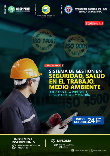 Sistema De Gestión En Seguridad, Salud En El Trabajo, Medio Ambiente Aplicado A La Industria, Hidrocarburos Y Minería. 2021 - 3