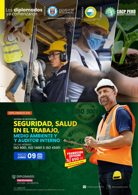 Sistema De Gestión En Seguridad, Salud En El Trabajo, Medio Ambiente Y Auditor Interno En Las Normas Iso 9001, 14001 Y 45001. 2024 - 1.3 E-Learning